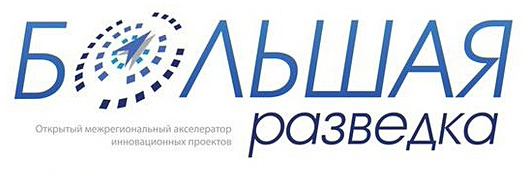 Bolsh razved logo