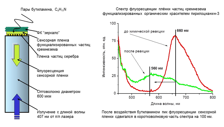 2012-Fig2