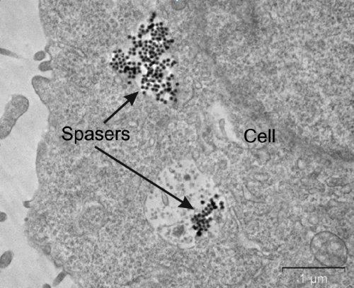 spasers in cell